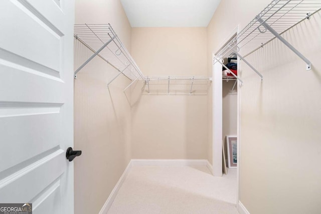 spacious closet with carpet flooring