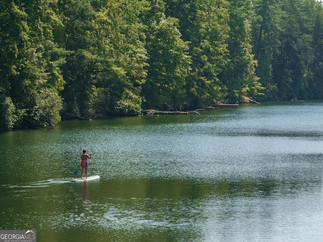 view of water feature