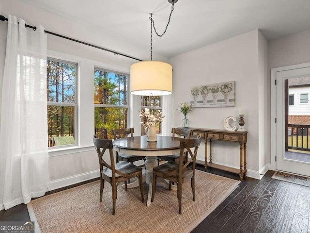 dining room featuring plenty of natural light and dark wood-type flooring