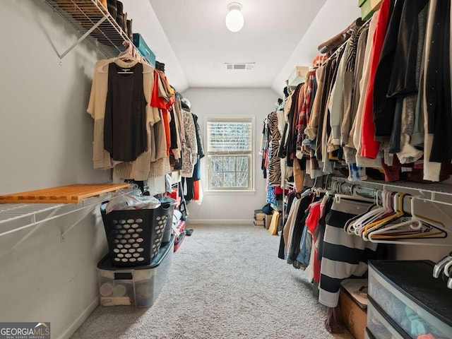 spacious closet with carpet