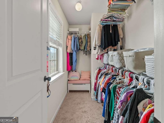 walk in closet with light carpet