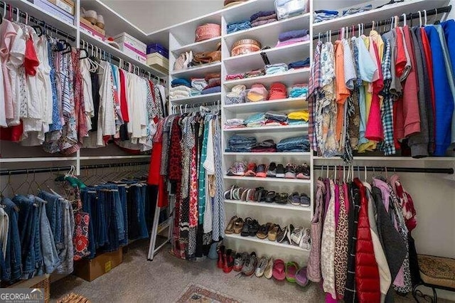 spacious closet featuring carpet floors