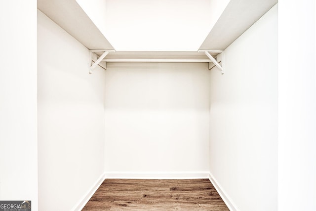 spacious closet featuring wood-type flooring