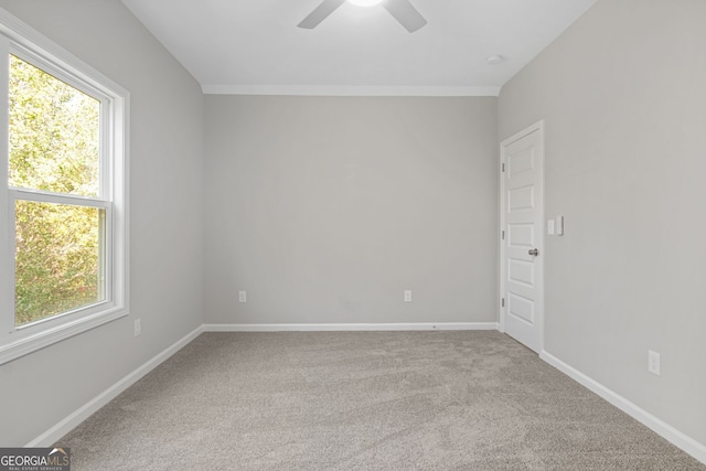 carpeted spare room featuring ceiling fan and ornamental molding