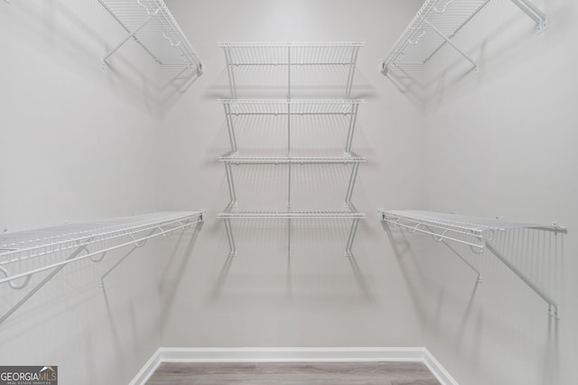 spacious closet with wood-type flooring