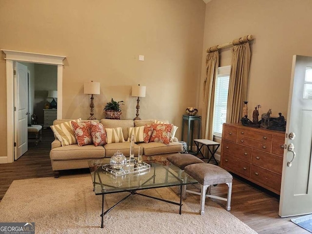 living room with dark hardwood / wood-style floors