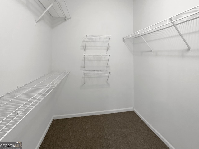 walk in closet with dark colored carpet