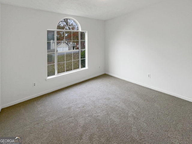 empty room featuring carpet