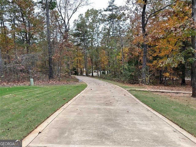 25 Fireside Ct NW, Cartersville, GA 30120 - view of property's community featuring a yard