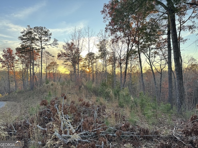 Listing photo 3 for LOT133 Sundown Trl, Ellijay GA 30540