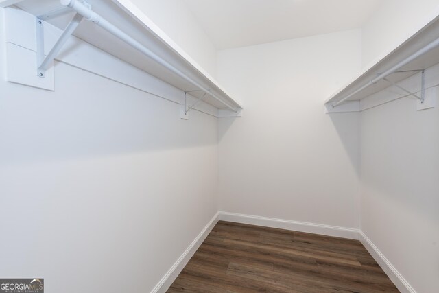 spacious closet with dark hardwood / wood-style flooring