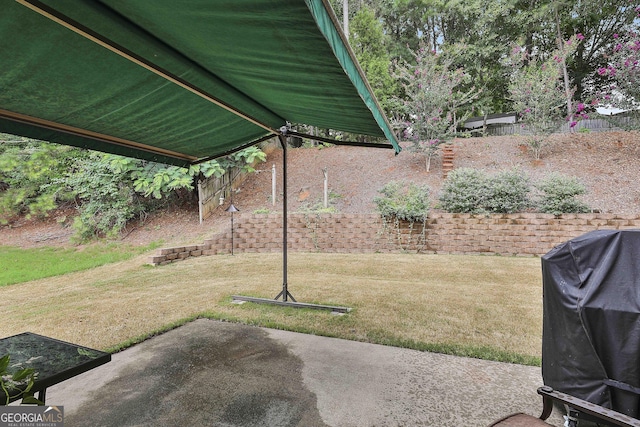 view of yard featuring a patio area