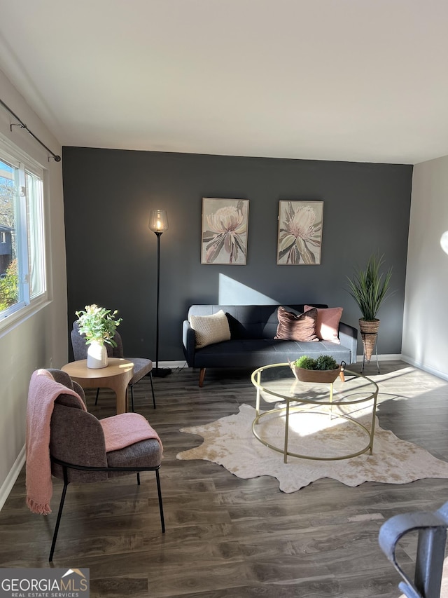 living room featuring wood-type flooring