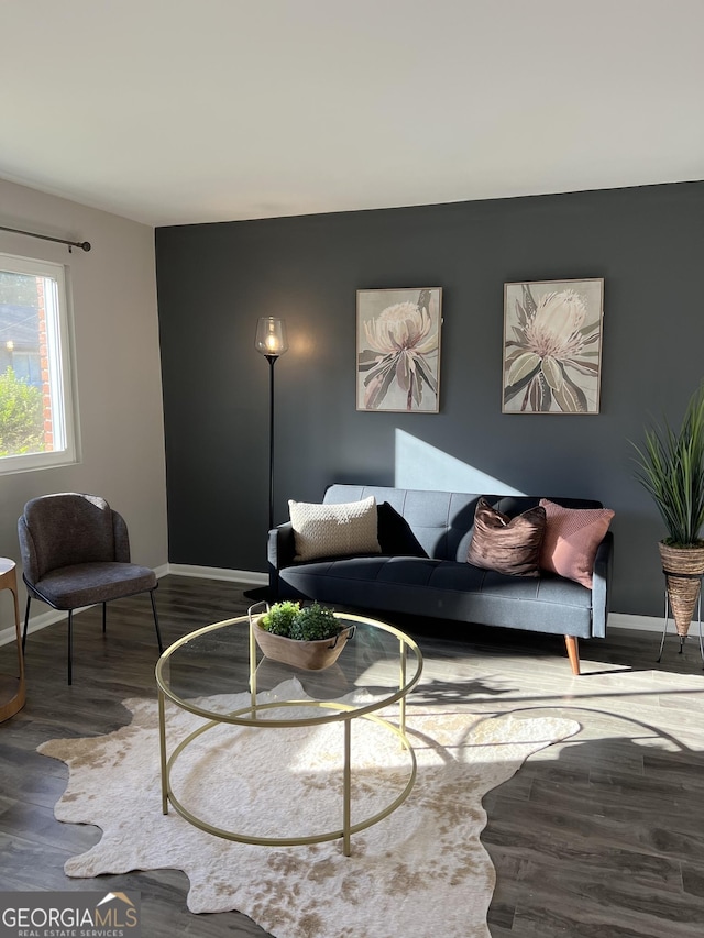 living room with hardwood / wood-style floors