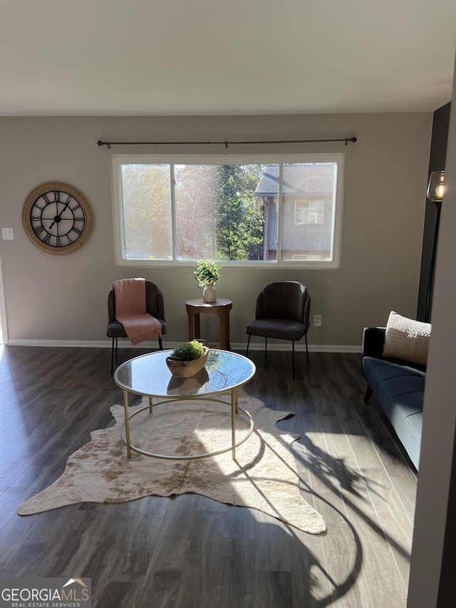 living room featuring dark wood-type flooring