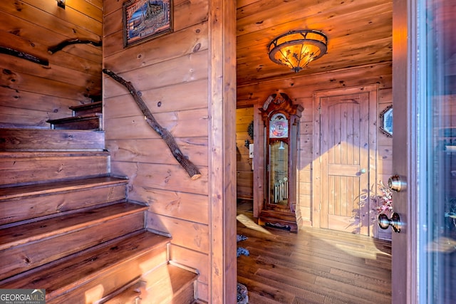 staircase featuring wooden walls and wood-type flooring