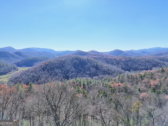 view of mountain feature