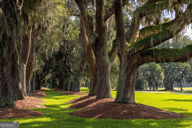 surrounding community with a lawn