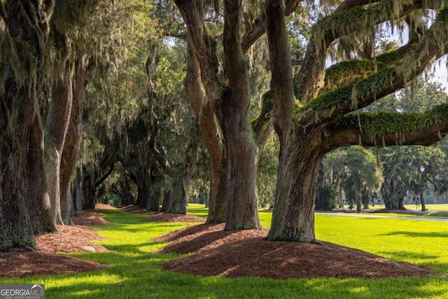 150 Salt Air Dr Unit 310, Saint Simons, GA 31522 - surrounding community with a yard