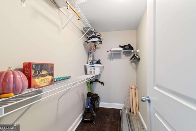 spacious closet featuring wood-type flooring