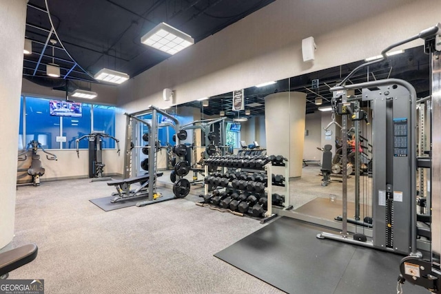 exercise room featuring carpet