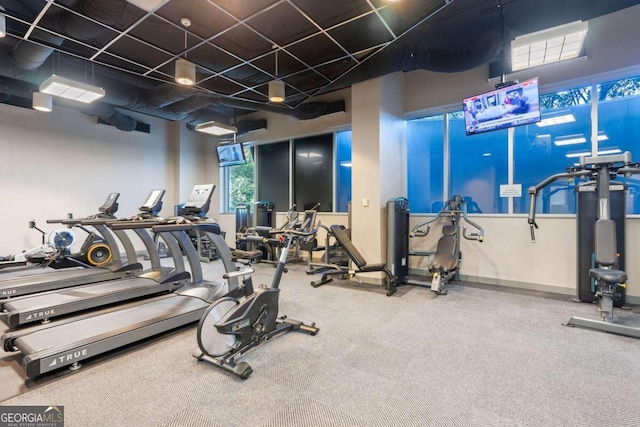 workout area featuring carpet floors