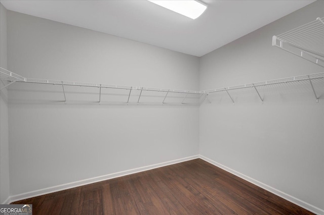 spacious closet with dark wood-type flooring