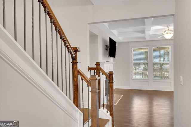 entryway with beam ceiling, ceiling fan, coffered ceiling, and dark hardwood / wood-style flooring