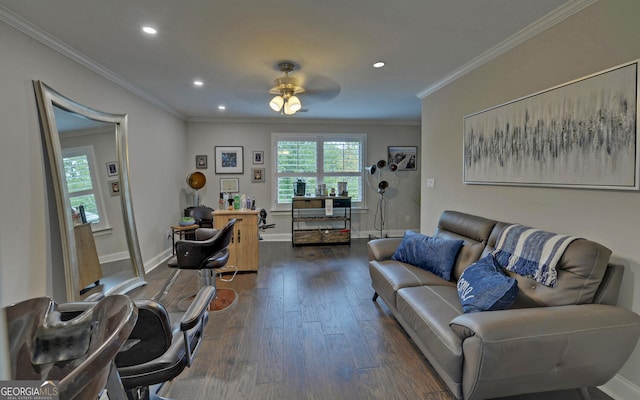 living room with ceiling fan, dark wood-type flooring, and ornamental molding