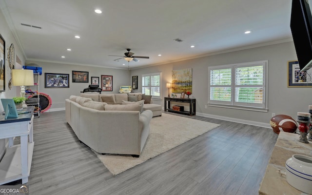 living room featuring ceiling fan, ornamental molding, and light hardwood / wood-style flooring