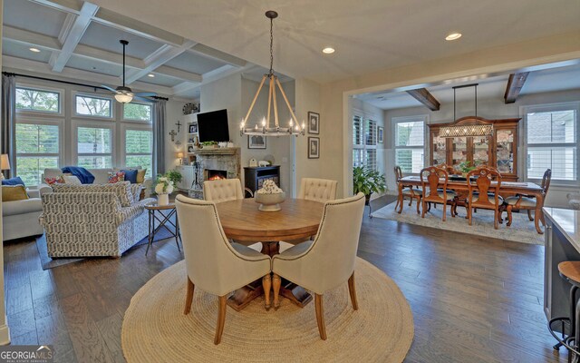 dining space with ceiling fan with notable chandelier, beam ceiling, dark hardwood / wood-style floors, and coffered ceiling