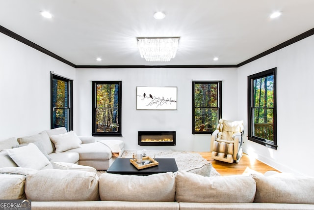 living room featuring an inviting chandelier, ornamental molding, and light hardwood / wood-style flooring