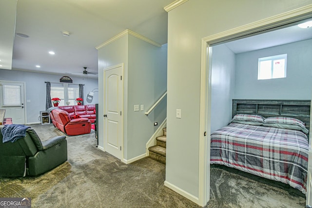 carpeted bedroom with multiple windows and ornamental molding