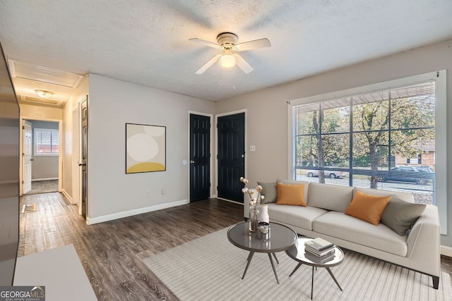 living room with ceiling fan, wood-type flooring, a textured ceiling, and a wealth of natural light