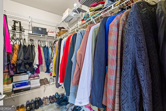 view of spacious closet