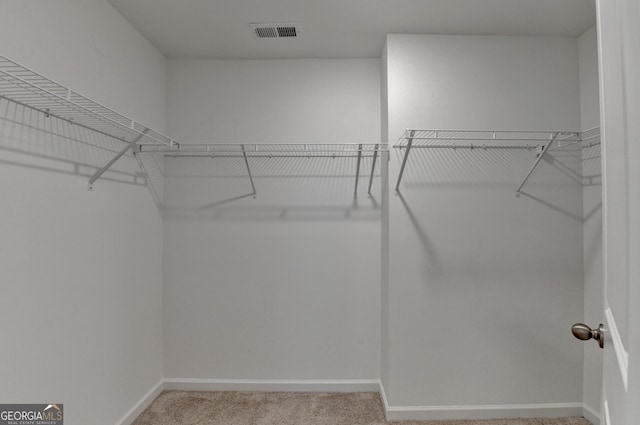 spacious closet with carpet flooring