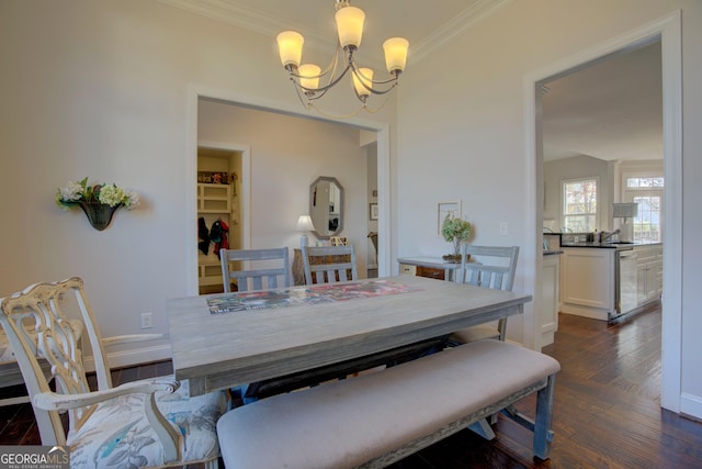 dining area with crown molding, a chandelier, and dark hardwood / wood-style floors