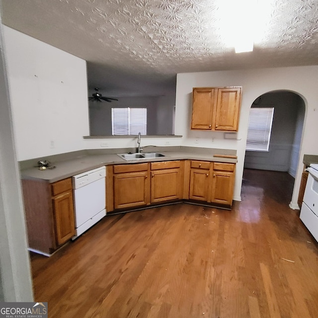 kitchen featuring ceiling fan, sink, dark hardwood / wood-style flooring, white dishwasher, and a textured ceiling