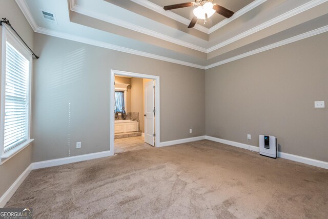 spare room with a healthy amount of sunlight, light colored carpet, and a tray ceiling