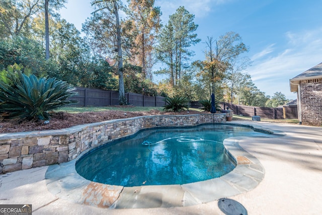 view of swimming pool with a patio