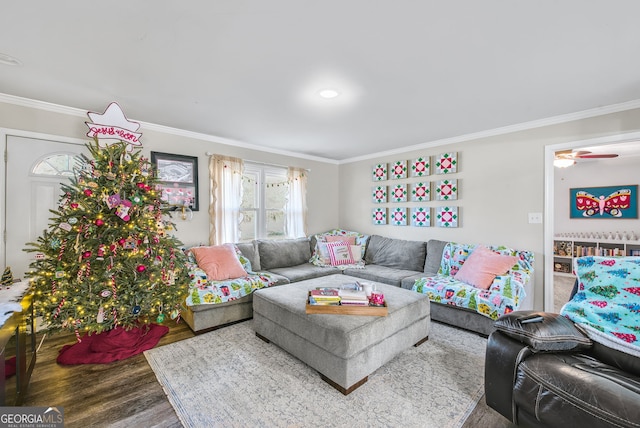 living room featuring wood-type flooring, ceiling fan, and ornamental molding