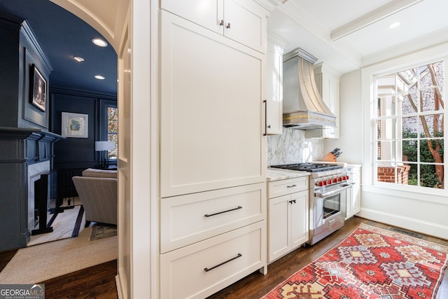 kitchen with a wealth of natural light, designer range, dark hardwood / wood-style floors, and custom range hood