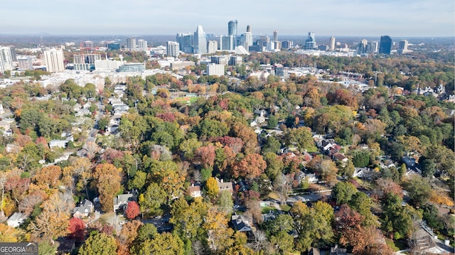 bird's eye view