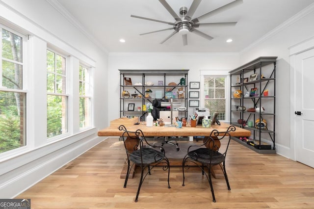 dining room featuring ornamental molding, light hardwood / wood-style floors, ceiling fan, and a healthy amount of sunlight