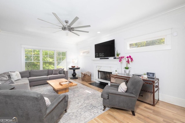 living room with ceiling fan, light wood-type flooring, and crown molding