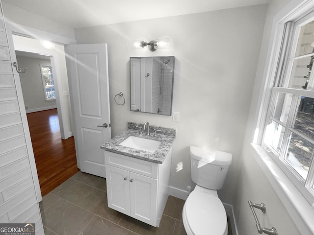 bathroom featuring vanity, hardwood / wood-style flooring, and toilet