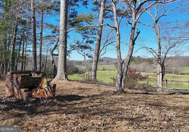 view of yard with a rural view