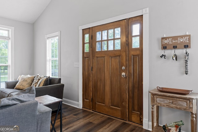 foyer entrance featuring a healthy amount of sunlight, dark wood-type flooring, and vaulted ceiling