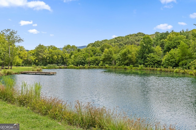 view of water feature with a boat dock