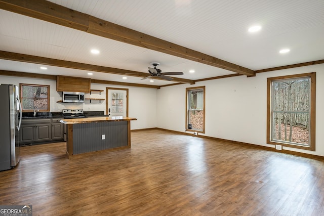 kitchen with stainless steel appliances, ceiling fan, sink, dark hardwood / wood-style floors, and a kitchen island